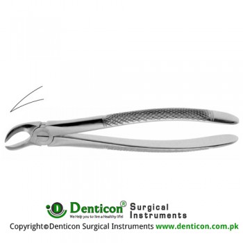 Cowhorn English Pattern Tooth Extracting Forcep Fig. 87 (For Lower Molars) Stainless Steel, Standard